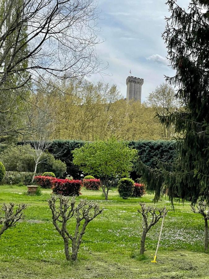 Domaine De Brancas And Petit Domaine De Brancas Beaucaire (Gard)